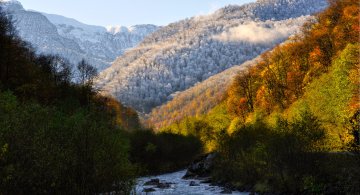 Зимний пейзаж