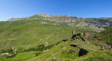 Летний пейзаж